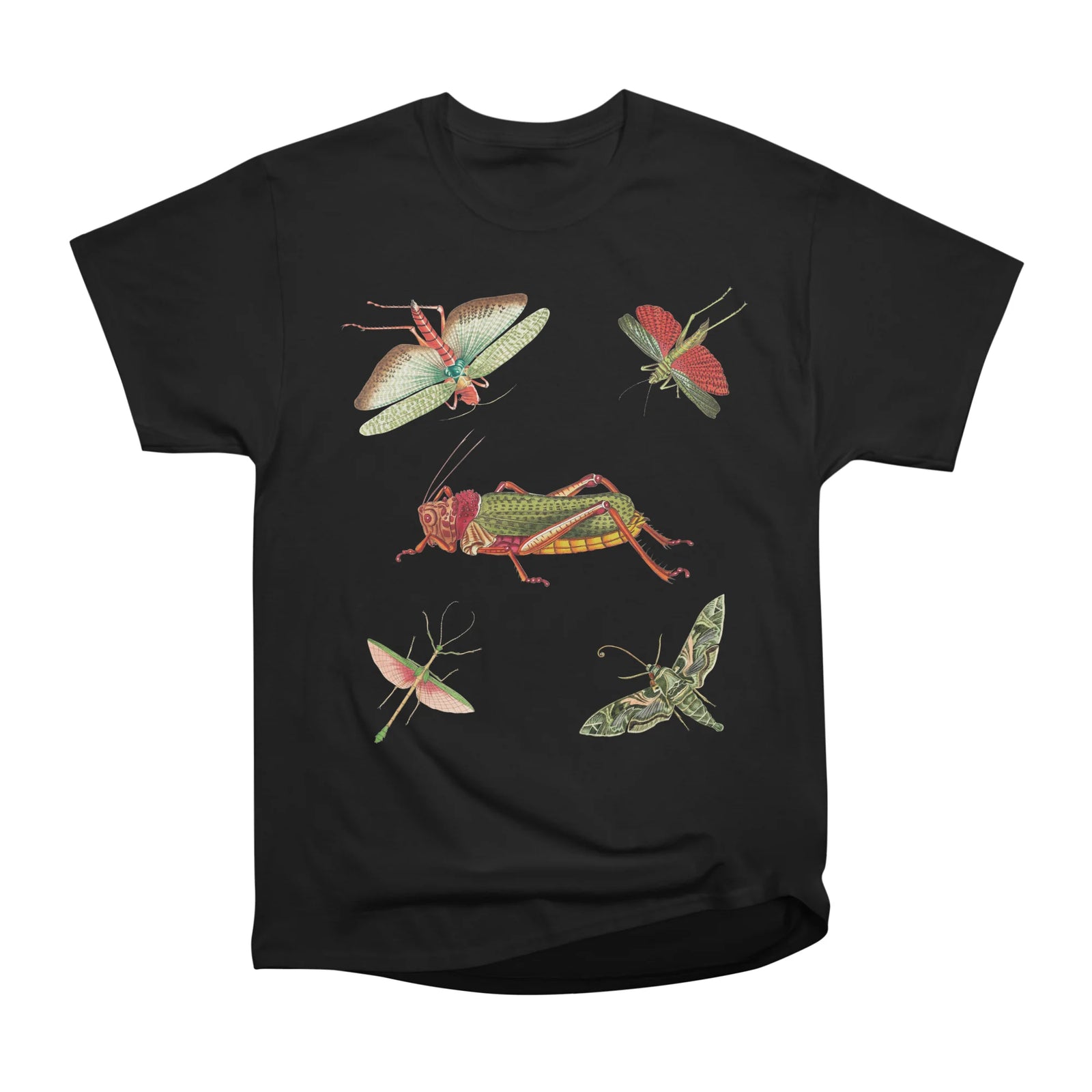 Vintage insects