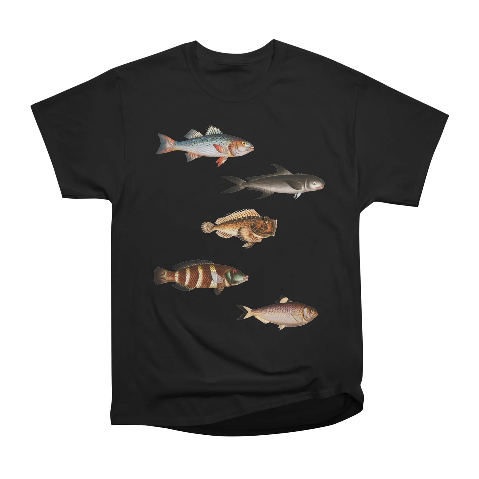Vintage sea animals