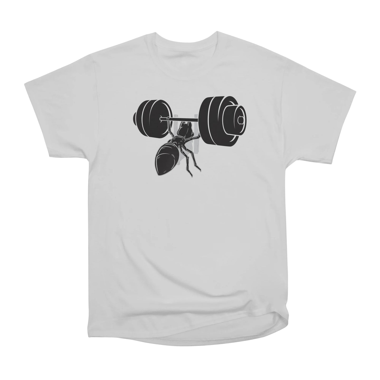 Ant Workout