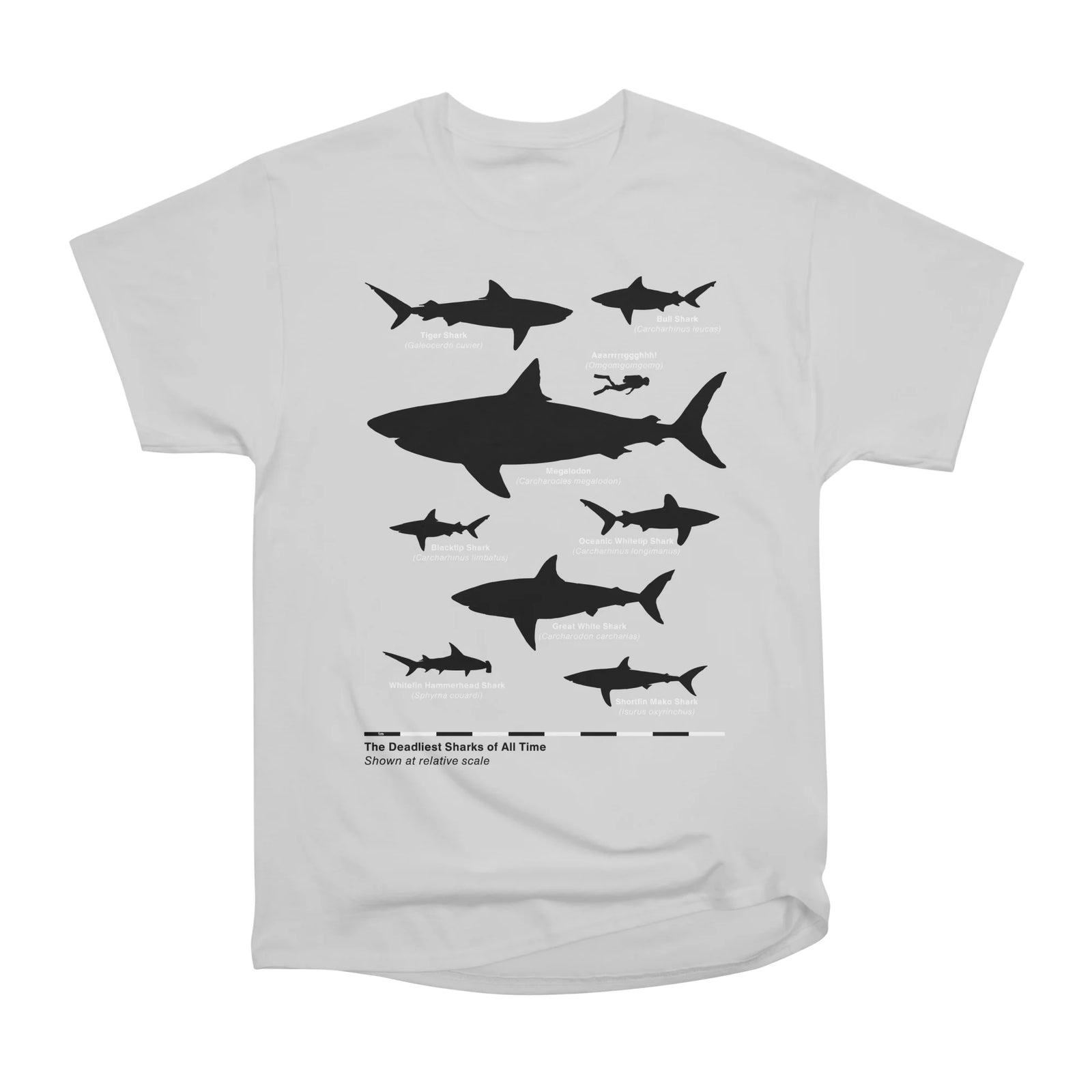 The Deadliest Sharks of All Time