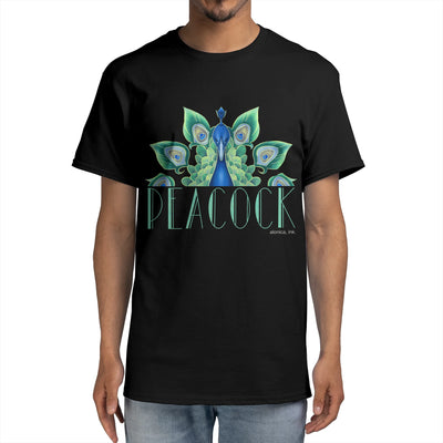Deco Peacock by Alon Paul