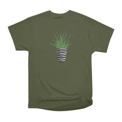 Zebra Plant