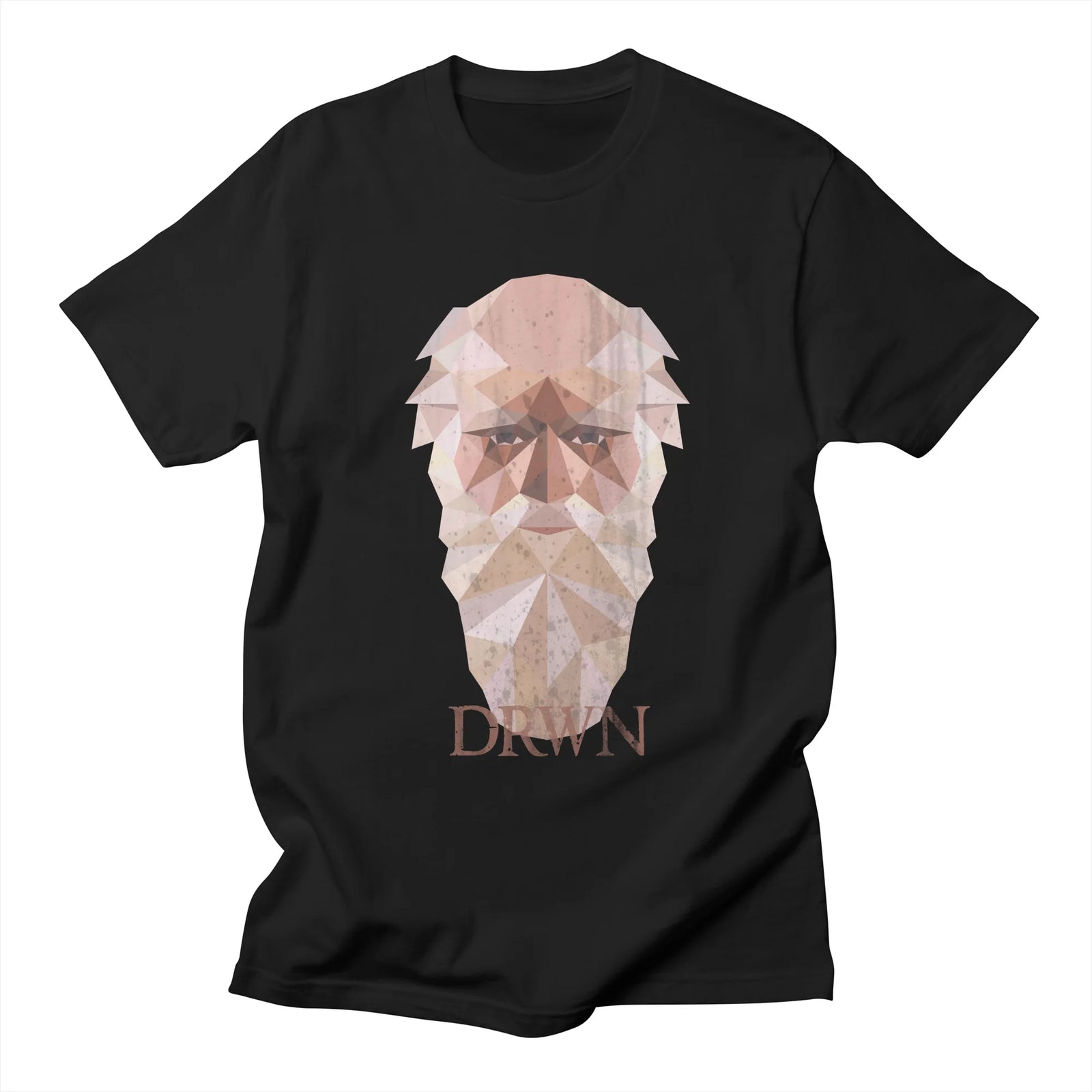 Low Poly DRWN - Charles Darwin
