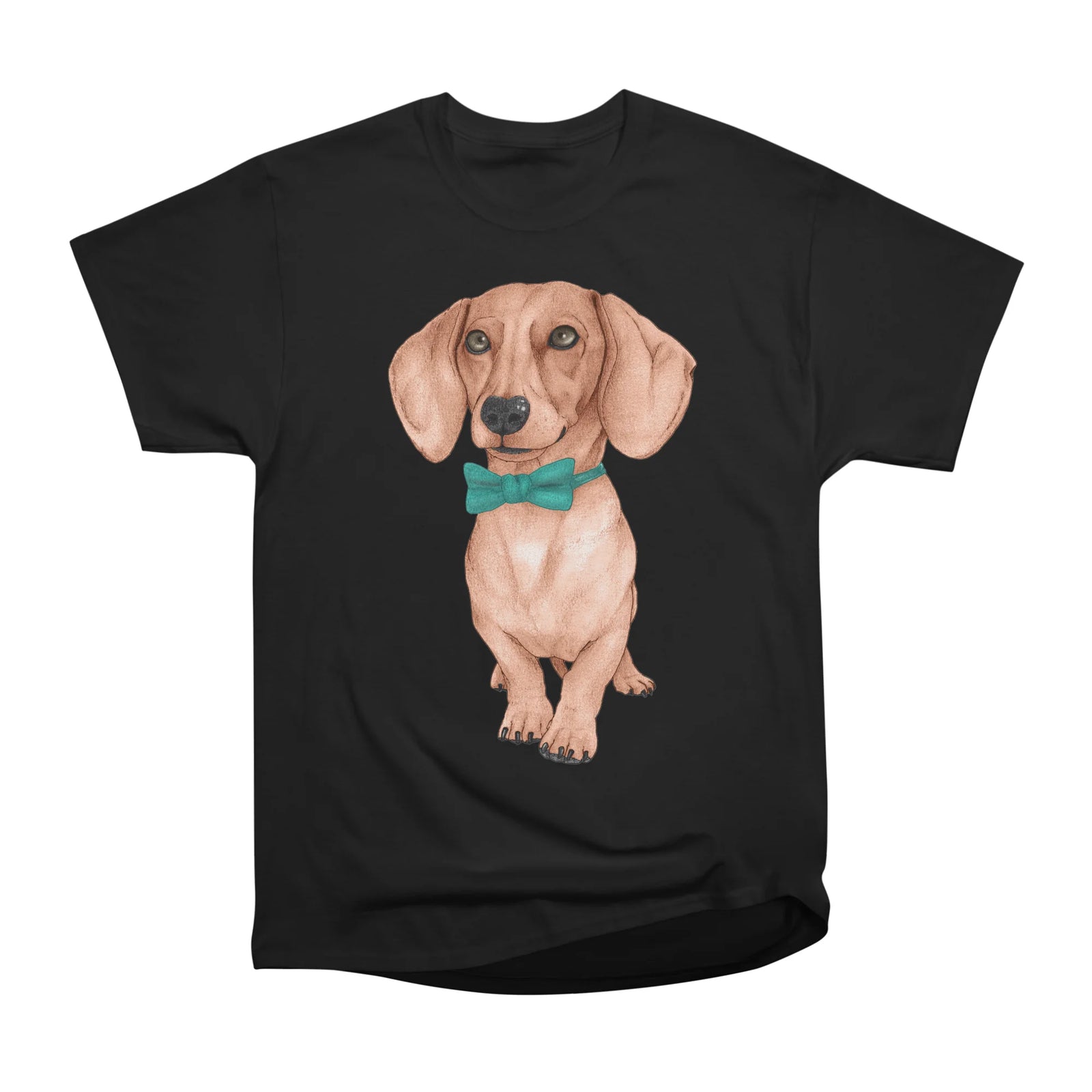 Dachshund, The Wiener Dog