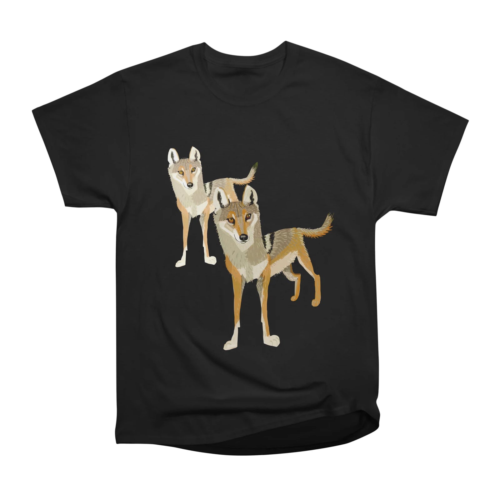 Indian Wolf Canis lupus pallipes