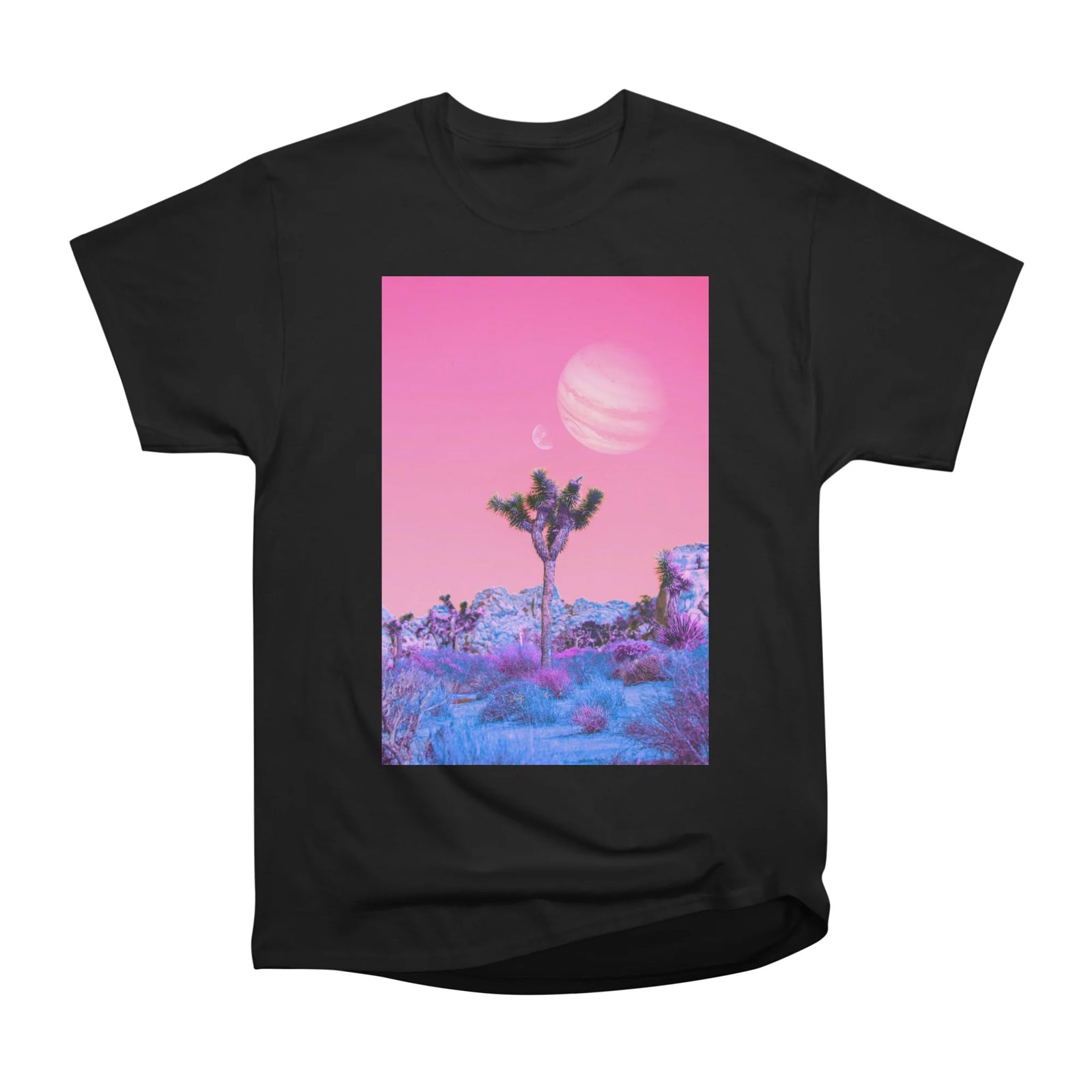 Sly Nature