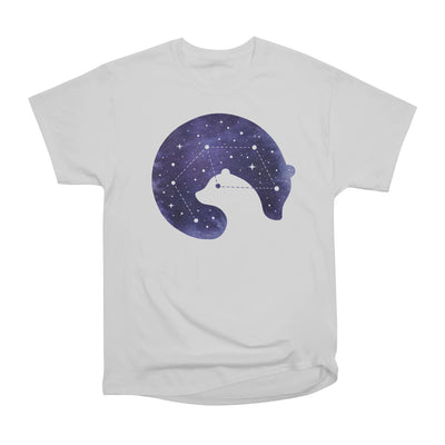 Stellar Love