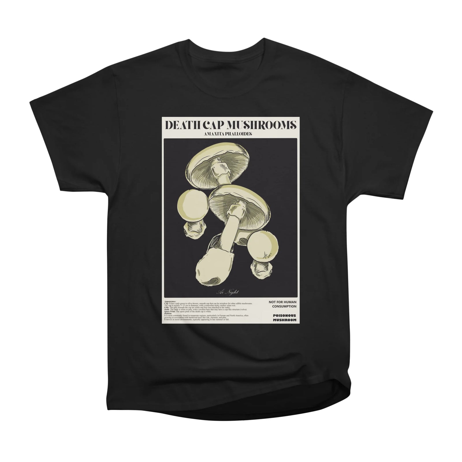 Death Cap Mushrooms - A Brief Informational Card