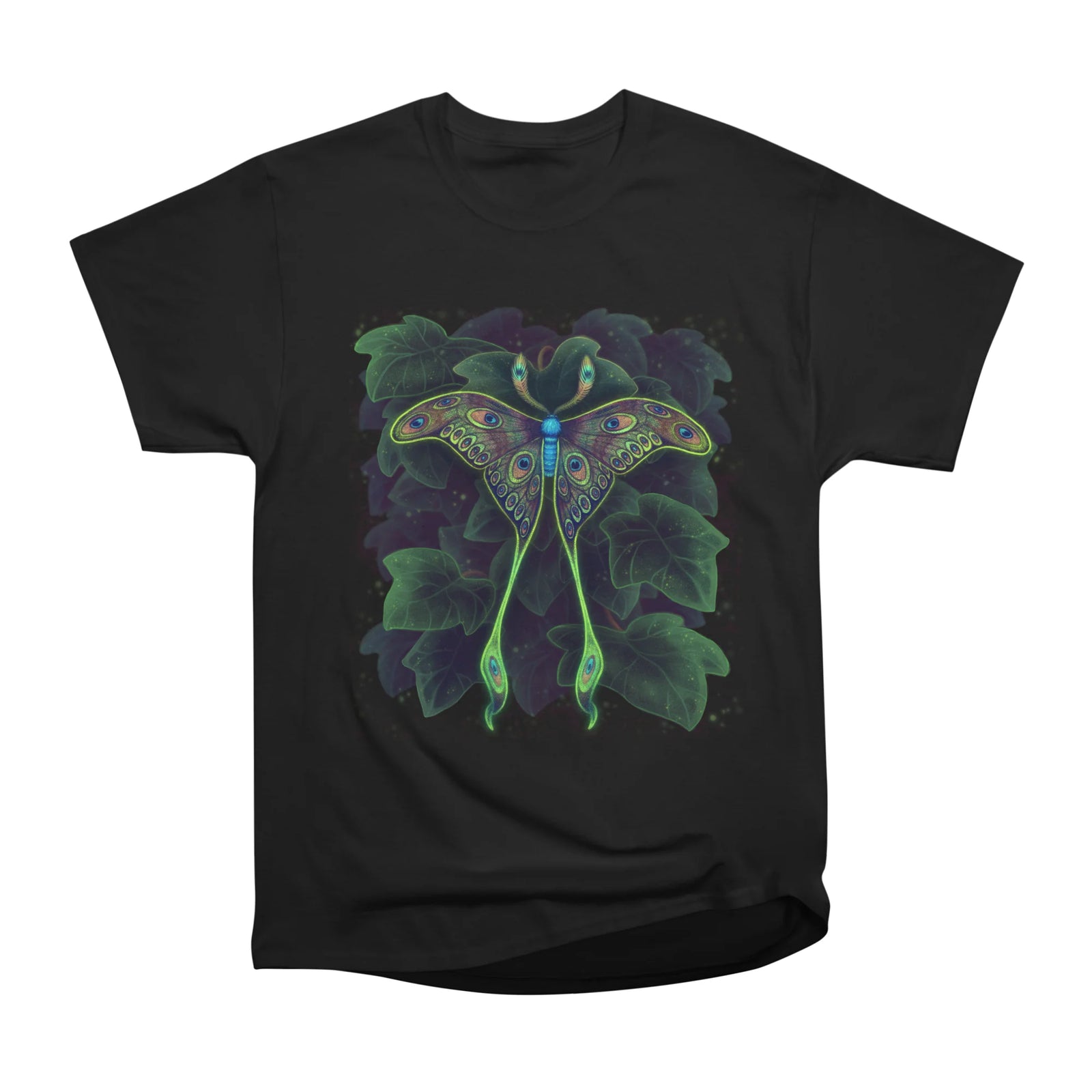 Peacock Moth