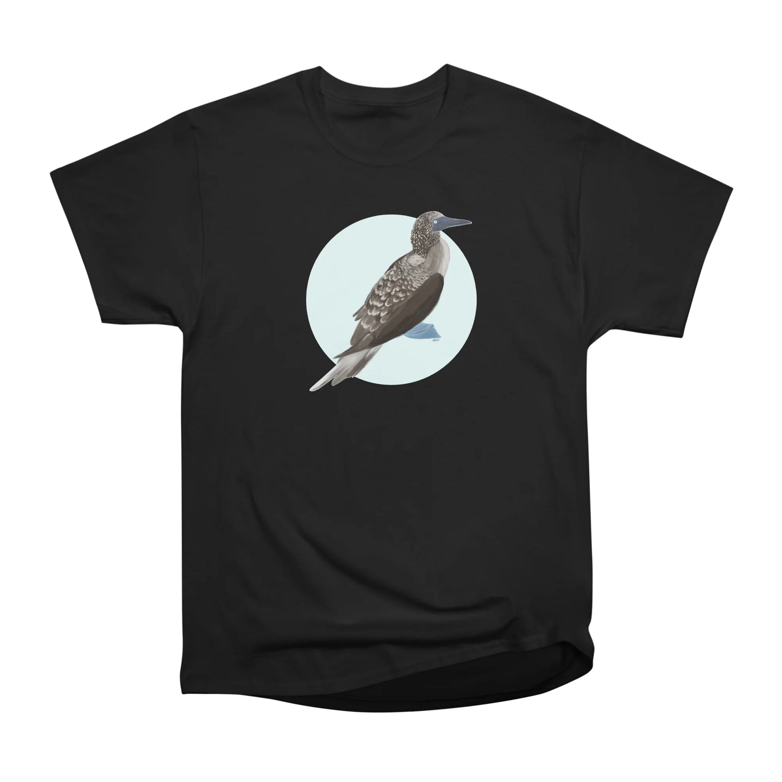 Piquero patas azules - Blue-footed Booby