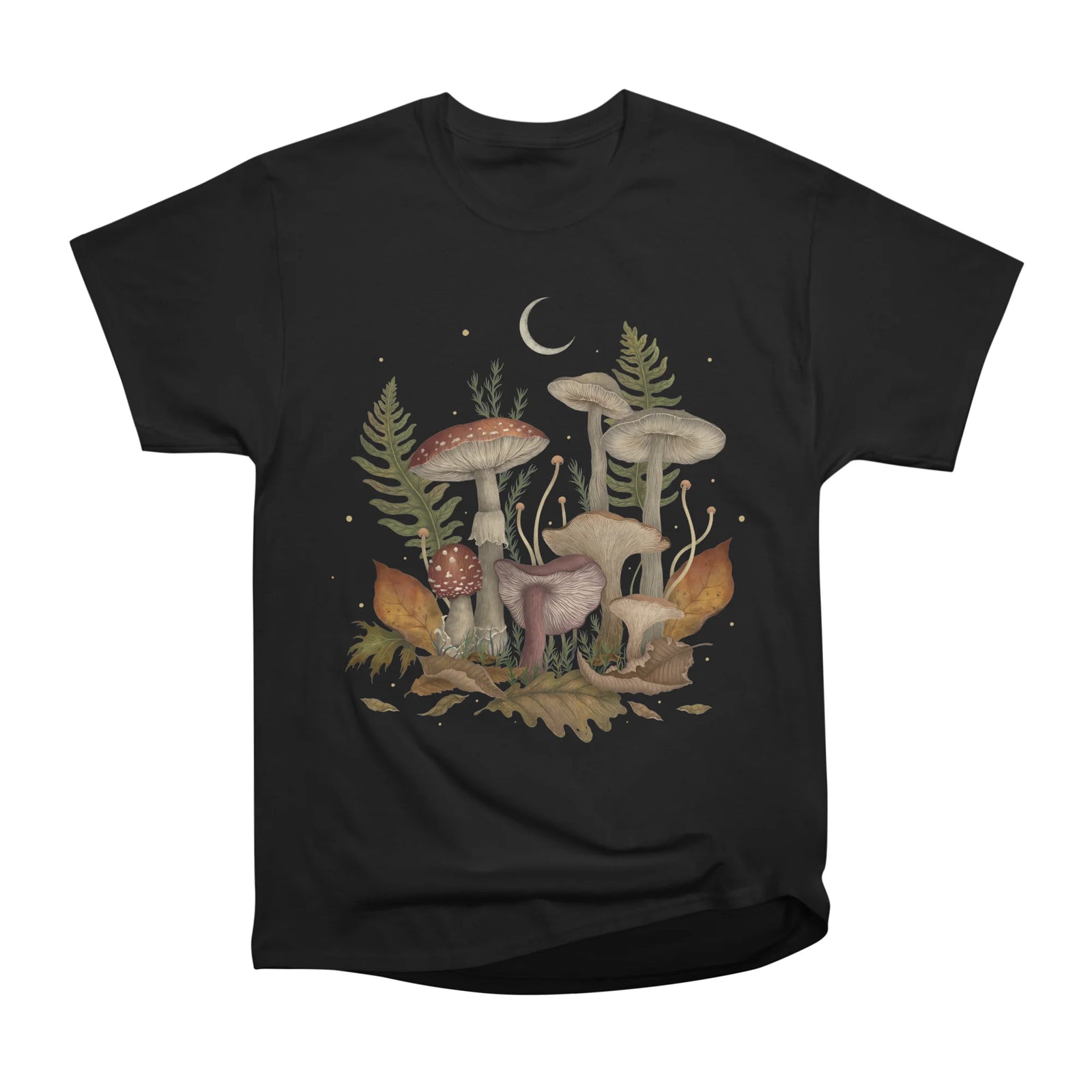 Autumn Mushrooms