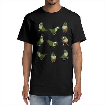Green Cheeked Conure Pattern