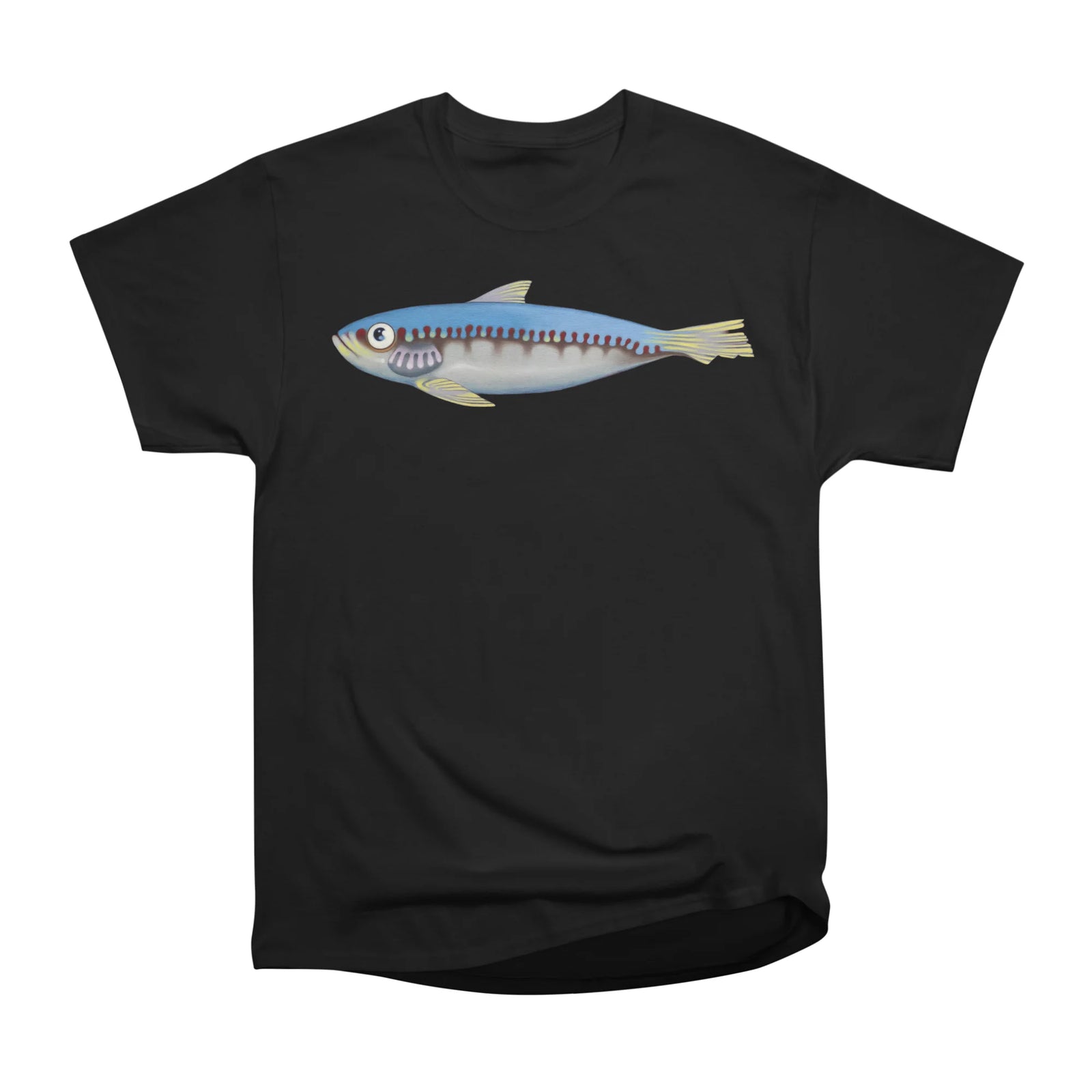 Sardine