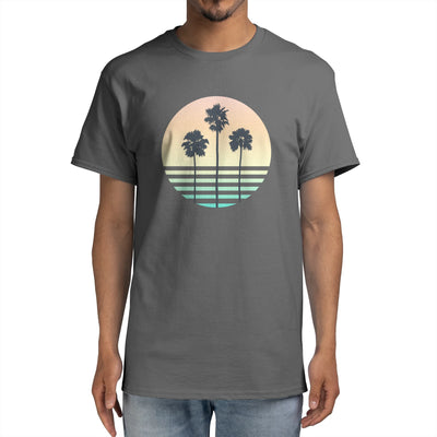 Palm Trees In Sunset