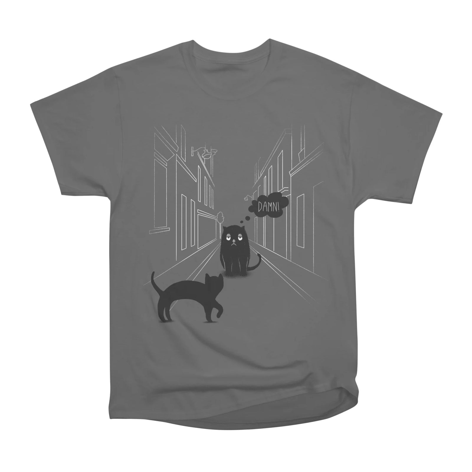 The Superstitious Cat