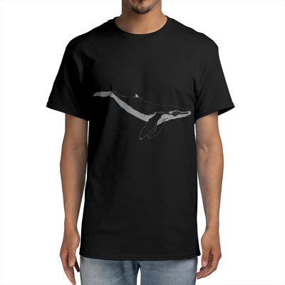 Whale