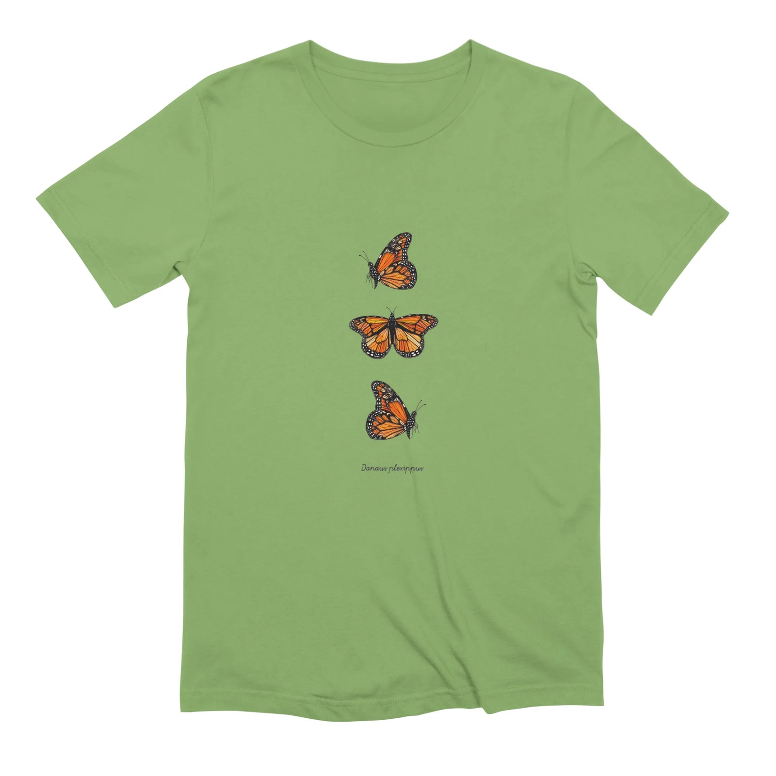 Monarch Butterfly