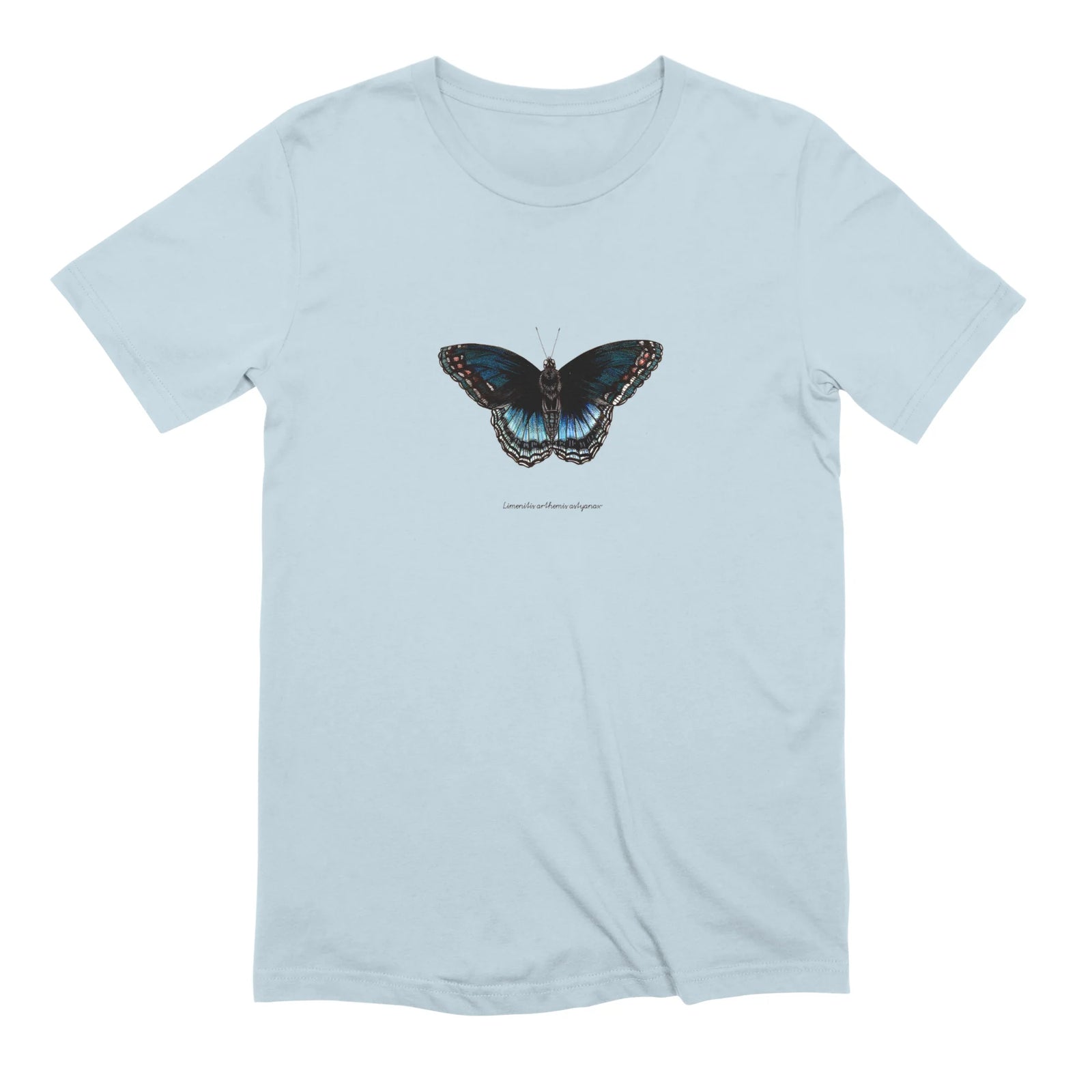 Red-spotted Purple Admiral