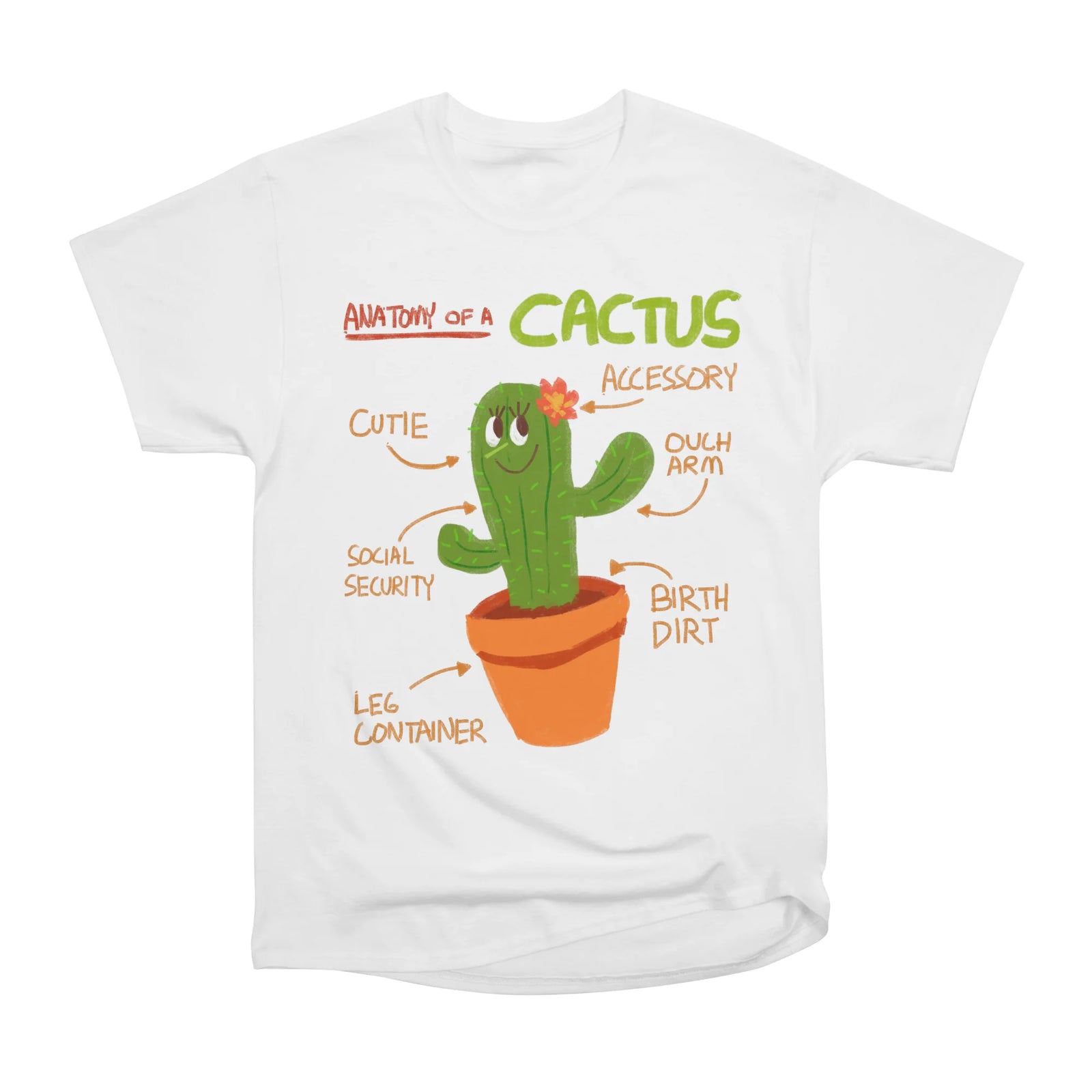 ANATOMY OF A CACTUS