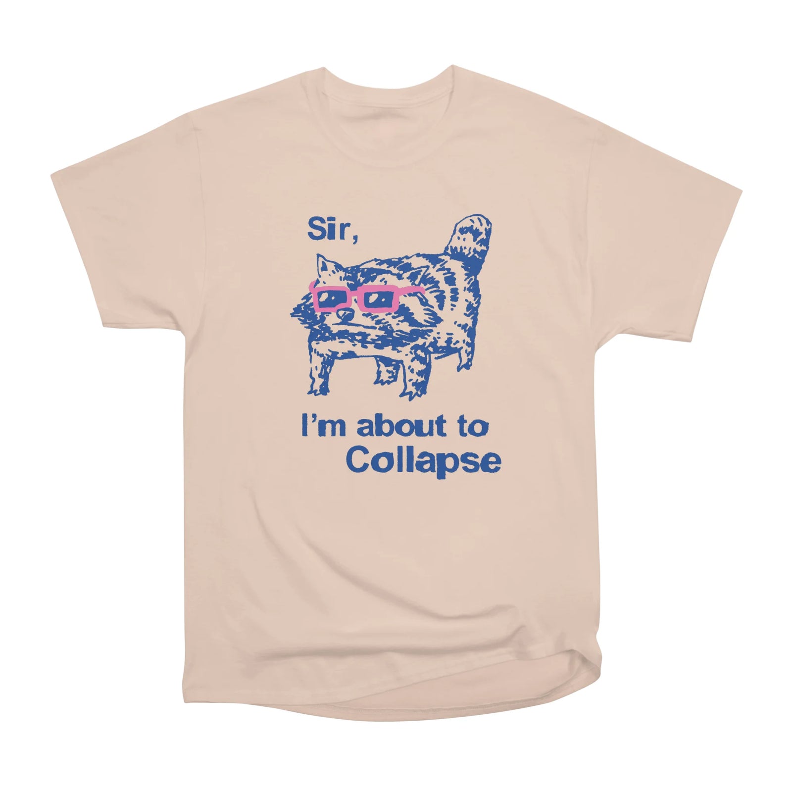 Sir, I'm about to collapse raccoon