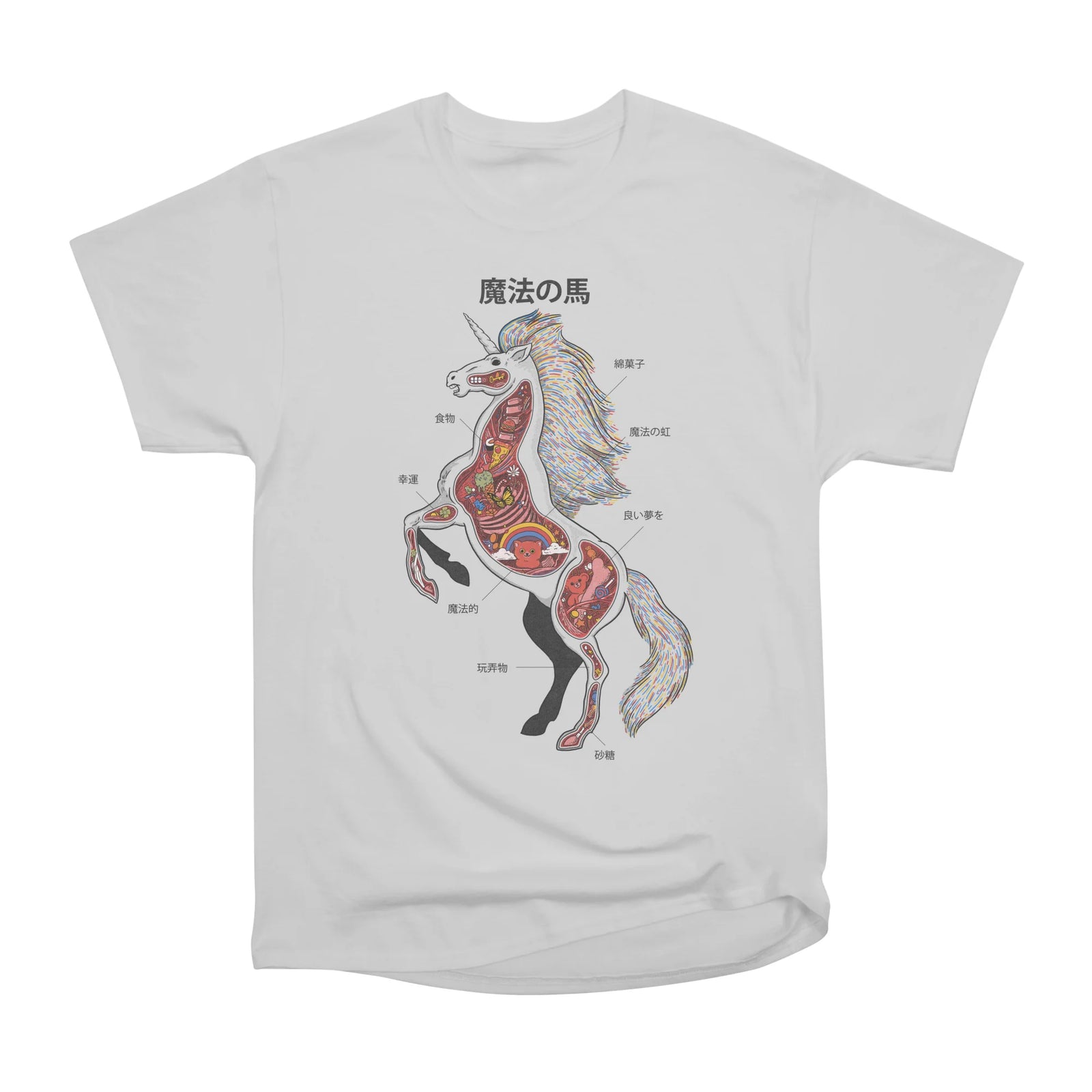 Unicorn Anatomy
