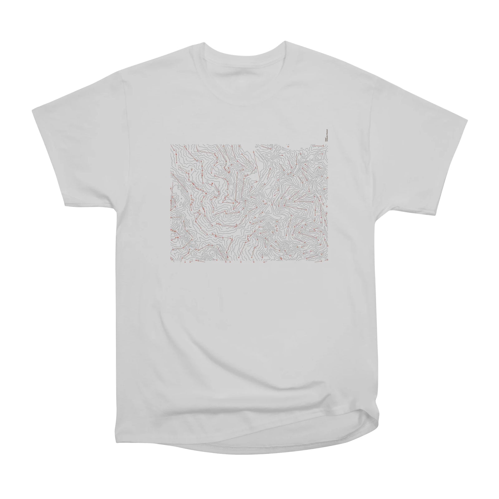 Layer 6