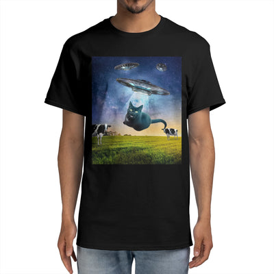 Black Cat UFO Abduction Funny
