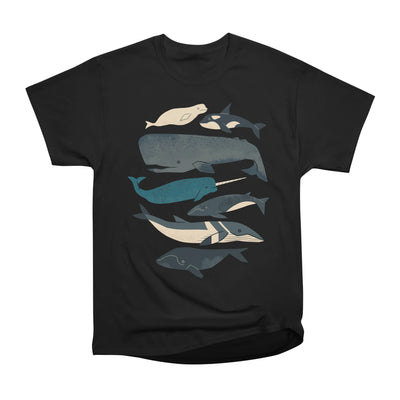 Whales Ahoy