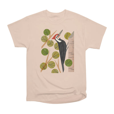 Woodpecker in Aspen Tree
