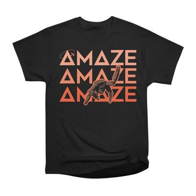 Project Amaze