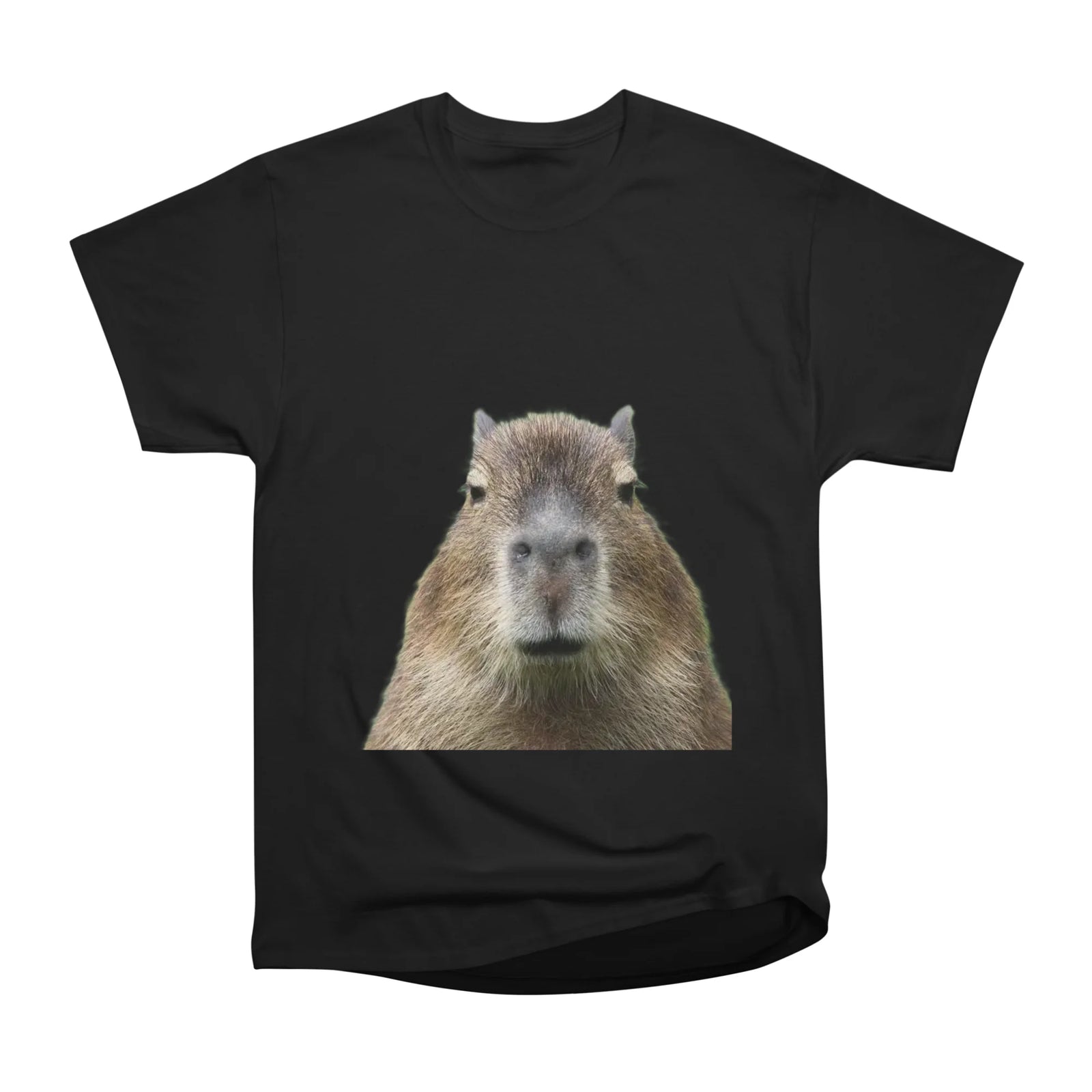 CapyBruha