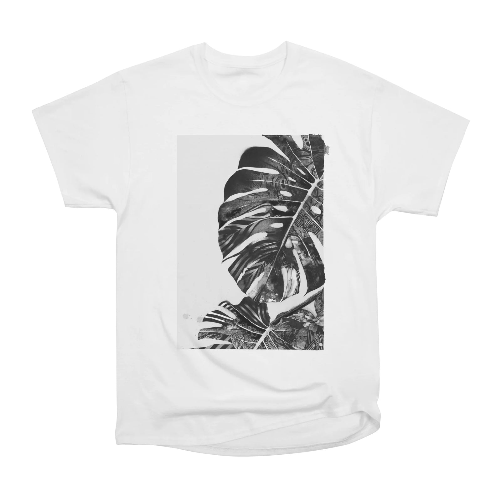 MONSTERA 01