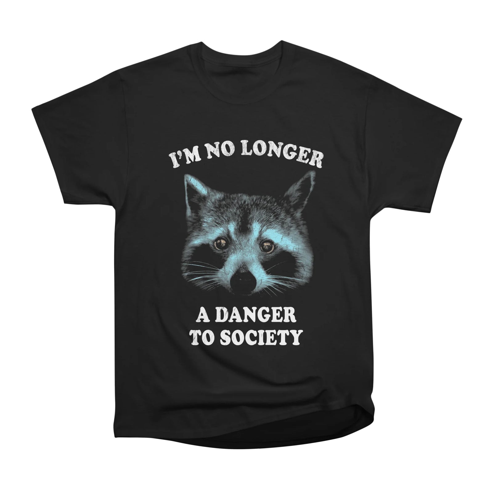 I'm No Longer A Danger To Society