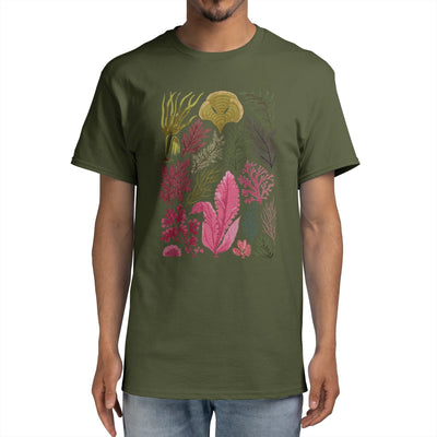 42022 Seaweed