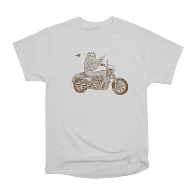 Sloth Rider