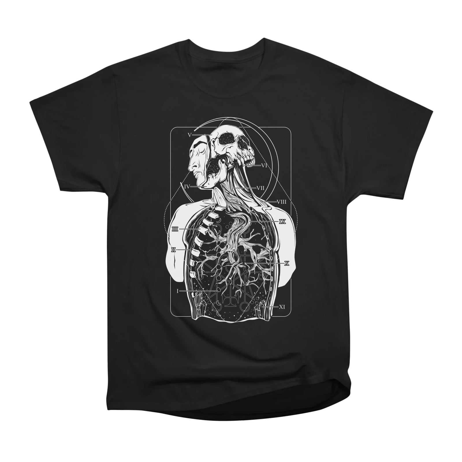 Atypical Anatomy
