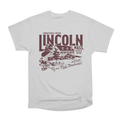 Greetings From Lincoln