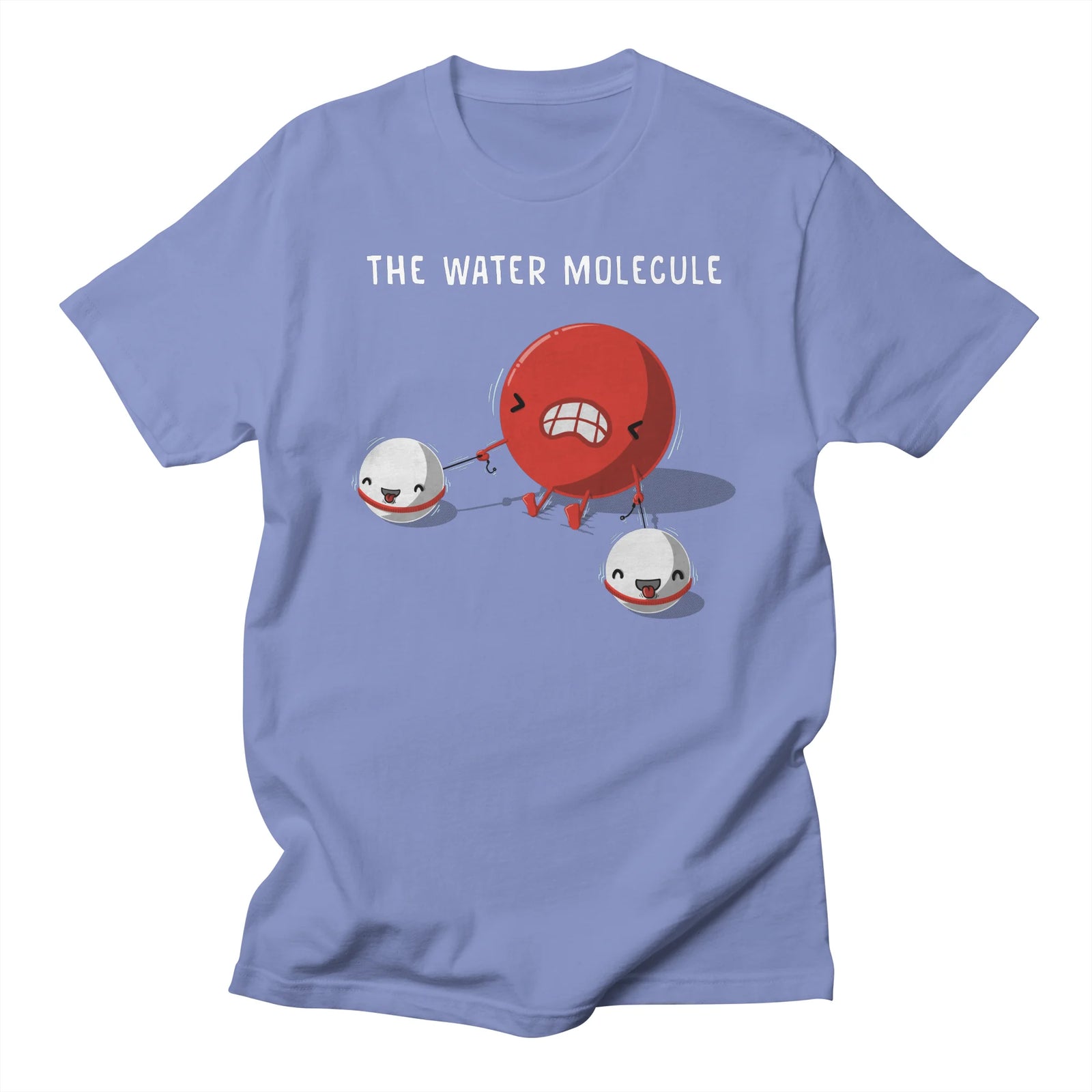 The water molecule