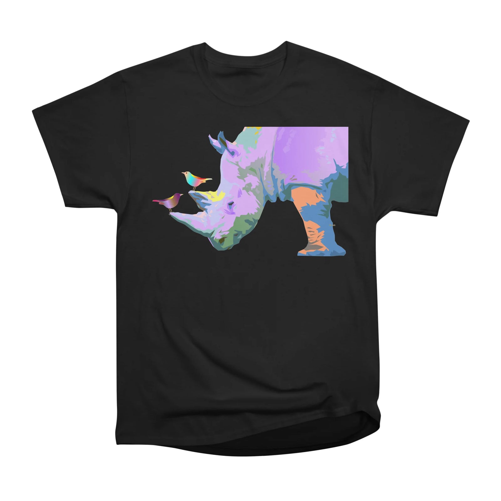 Rhino and Birds
